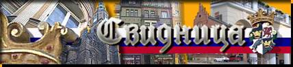 www.swidnica.ru